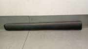 Zierleiste VOOR 9658521877 Citroën CITROËN / FIRST Monospace (MF_, GJK_, GFK_) 1.6 HDI 75 (MF9HW, GJ9HWC, GF9HWC, GN9HWC)