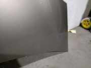 Motorhaube 651001535R Renault / GRAND (F/JP0_) 1.6 (JP03, JP0B, JP0U, JP0Y, JP1G)