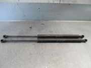 Gasdruckfeder Set Vorne 9629618980 Citroën Xsara (N1) Schrägheck 1.9TD X,SX,Exclusive (XUD9TE(DHY))