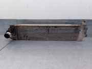 Ladeluftkühler 8200325003 Renault GRAND SCÉNIC II (JM0/1_) 1.9 dCi (JM14)