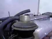 Motor F9QF710 Renault (B56) 1.9 dTi Diesel CAT