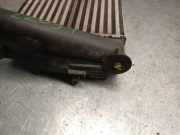 Ladeluftkühler 144963014R Citroën Berlingo Cinqspace, Multispace Großraumlimousine 1.9 Di (DW8B(WJY))