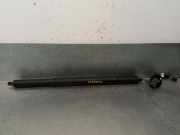 Gasdruckfedern Set Hinten 83A827851A Audi (F3B) 35 TDI