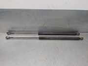 Gasdruckfedern Set Hinten 51248232873 BMW 3 serie Touring (E46/3) Kombi 330d 24V (M57-D30(306D1))