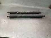 Gasdruckfedern Set Hinten 51247201940 BMW (E71, E72) xDrive 35 d