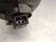 Nebelscheinwerfer Links Hinten 51775349 Fiat Bravo (198A) Schrägheck 1.9 JTD Multijet (192.A.8000)