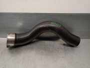 Schlauch LX616C646MA Ford Focus 4 Schr?gheck 1.0 Ti-VCT EcoBoost 12V 125 (B7DA)