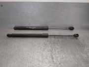 Gasdruckfedern Set Hinten 817702B000 Hyundai Santa Fe II (CM) SUV 2.2 CRDi 16V 4x2 (D4EB)