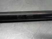 Gasdruckfeder Set Vorne 811613K000 Hyundai Sonata Limousine 2.0 CRDI VGT 16V (D4EA)