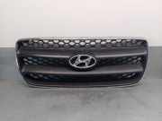 Grill 865612B010 Hyundai Santa Fe II (CM) SUV 2.2 CRDi 16V 4x2 (D4EB)