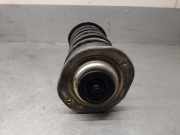 Stoßdämpfer Links Vorne 7700807873 Renault (B/C40) 1.0