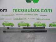 Gasdruckfedern Set Hinten 2N11N406A10AA Ford Fusion Kombi 1.4 16V (FXJC)