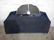 Motorhaube 51732277 Lancia Musa Großraumlimousine 1.3 JTD Multijet 90 (199.A.3000)