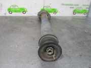 Stoßdämpfer Links Vorne A9043201930 Mercedes-Benz Sprinter 4/5t (904/905) Ch.Cab/Pick-up 413 CDI 16V (OM611.981)