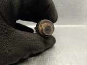 Kraftstoff-Injector LCR6734303G Fiat CAJA CERRADA (DESDE 03.94) 1.9 Diesel