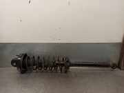 Stoßdämpfer Rechts Hinten 89FB18K076AE Ford FIESTA BERL./COURIER 1.1 CAT