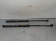 Gasdruckfedern Set Hinten 8200735264 Dacia (BS_) 1.6 (BS0D, BS0B, BS0F, BS0H)