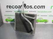 Klima Verdampfer Volkswagen New Beetle (9C1/9G1) Schr?gheck 3-drs 1.6 (AYD) AYD