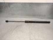 Gasdruckfedern Set Hinten 8W9827552C Audi A4 Avant (B9) Kombi 2.0 TDI Ultra 16V (DEUA)