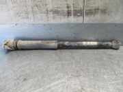 Stoßdämpfer Links Hinten 6Q0513025BH Seat Ibiza III (6L1) Schrägheck 1.4 TDI 80 (BNV)