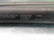 Gasdruckfedern Set Hinten 8200021974 Renault IV (JK0/1_) 1.9 dCi (JK0U, JK0G)