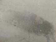 Bodenschutz 6777727 BMW 5 serie Gran Turismo (F07) Schrägheck 530d xDrive 24V (N57-D30A)