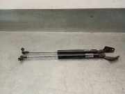 Gasdruckfedern Set Hinten 90450EL00A Nissan Tiida (C11X) Schrägheck 1.5 dCi (K9K)