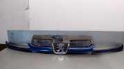 Grill 9628934280 Peugeot 206 (2A/C/H/J/S) SchrÃ¤gheck 1.4 XR,XS,XT,Gentry (TU3JP(KFW))