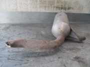 Auspuff Endtopf EMCON Toyota Avensis Wagon (T27) Kombi 2.0 16V D-4D-F (1AD-FTV(Euro 4))