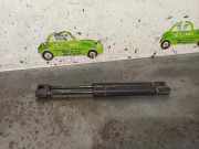 Gasdruckfedern Set Hinten 1J5827552 Volkswagen Bora (1J2) Limousine 1.9 TDI 90 (AGR) AGR