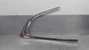 Zierleiste ACHTER 51357196419 BMW 5 serie Gran Turismo (F07) Schrägheck 530d xDrive 24V (N57-D30A)