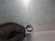 Antenne 65206832066 BMW X6 (G06) SUV xDrive 40d Mild Hybrid 3.0 24V (B57-D30B)