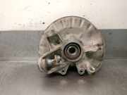 Achsschenkel Halter Links Hinten A1663570105 Mercedes-Benz GLE (W166) 250 d 4-matic (166.004)