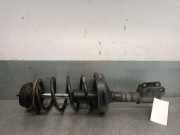 Stoßdämpfer Rechts Vorne K9K872 Nissan Kubistar (F10/F11) Van 1.5 dCi 80 (K9K-702)