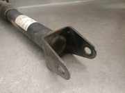 Stoßdämpfer Links Hinten A1663260900 Mercedes-Benz ML III (166) SUV 2.1 ML-250 CDI 16V BlueTEC 4-Matic (OM651.960)