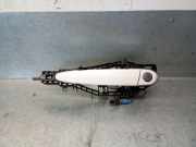 Türgriff Außen Links Vorne 51217332565 BMW 3 serie Touring (F31) Kombi 330d xDrive 3.0 24V (N57-D30A)