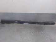 Zierleiste A6396900462 Mercedes-Benz / MIXTO Furgoneta (W639) 109 CDI (639.601, 639.603, 639.605)