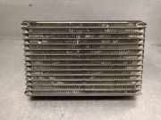 Klima Verdampfer 55702406 Fiat Qubo GroÃŸraumlimousine 1.3 D 16V Multijet (199.B.1000)