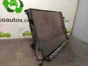 Radiator 8200189288B Renault Megane Classic (LA) Limousine 1.9 dTi (F9Q-744)