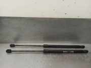 Gasdruckfedern Set Hinten 1321021 Ford Focus 2 Schr?gheck 1.6 16V (HWDA)