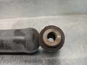 Stoßdämpfer Links Hinten 9821016880 Opel X 1.2