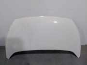 Motorhaube 1542417 Ford Ka II SchrÃ¤gheck 1.2 (169.A.4000)