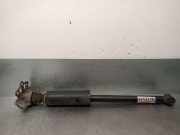 Stoßdämpfer Links Hinten 51936082 Fiat 500L (199) Großraumlimousine 1.3 D 16V Multijet Euro 5 (199.B.4000)