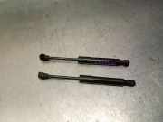 Gasdruckfeder Set Vorne 654707388R Renault ZOE (BFM_) ZOE