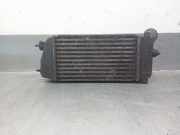 Ladeluftkühler 9638758980 Citroën C3 (FC/FL/FT) Schrägheck 5-drs 1.4 HDi 16V (DV4TED4(8HY))