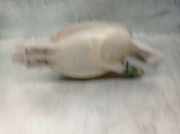 Ausgleichbehälter - - 217100015R Renault KASTEN 2.3 dCi Diesel CAT