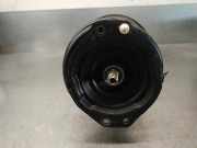 Sto?d?mpfer Rechts Vorne 8200301328 Renault II (BG0) 2.2 dCi Turbodiesel