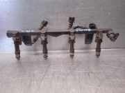 Einspritzdüsen Düsenstock 8200494284 Renault Kangoo/Grand Kangoo (KW) Großraumlimousine 1.6 (K7M-750(K7M-K7))