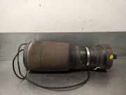 Stoßdämpfer Links Hinten LR089235 Land + Range Rover Discovery V (LR) Geländewagen 2.0 Td4 16V (204DTA)