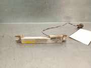 Antenne 285900007R Renault Grand Scénic III (JZ) Großraumlimousine 1.9 dCi (F9Q-872(F9Q-P8))